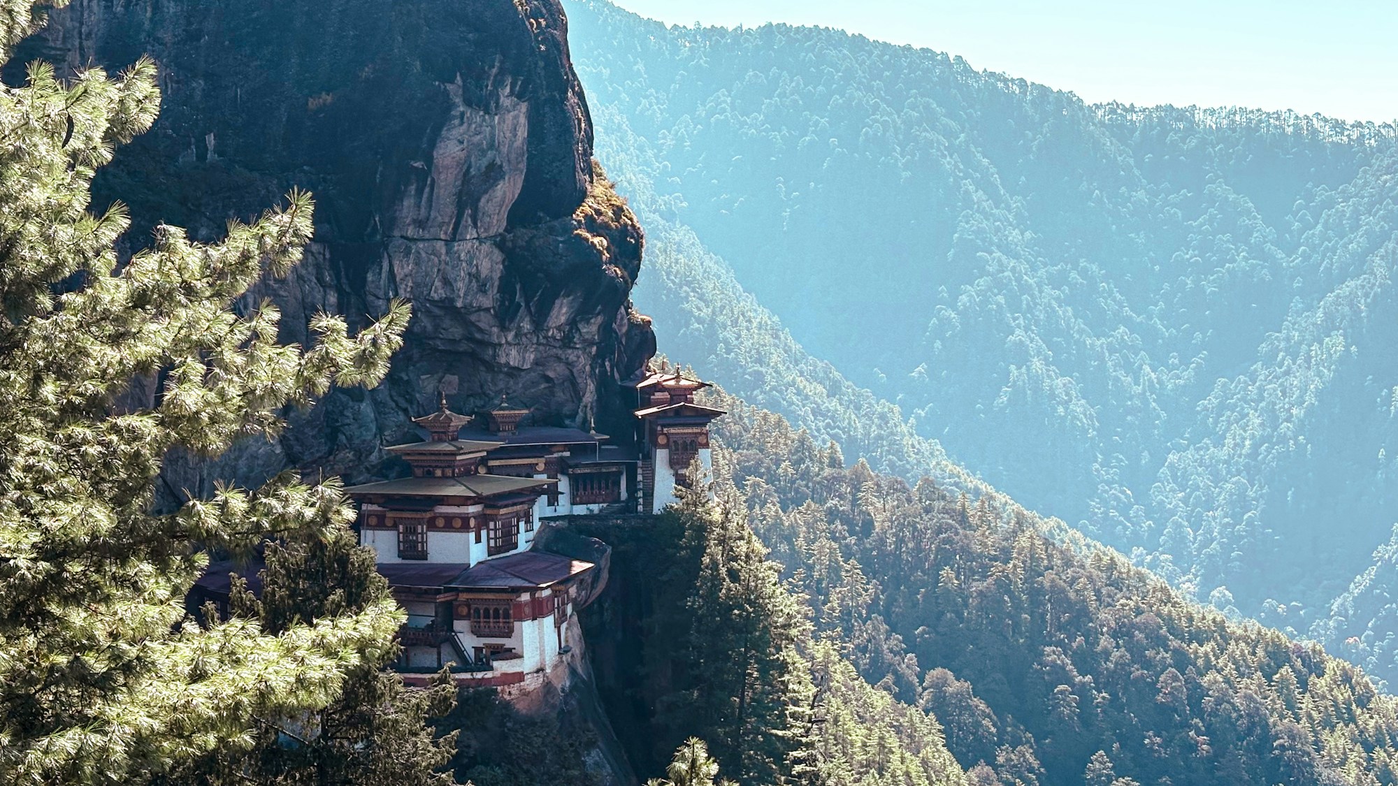 Kloster Tigernest (Taktsang), an einer Felswand im himalayischen Wald thronend, Bhutan