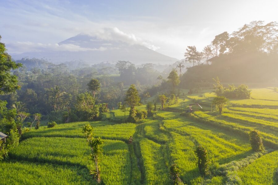 Famille sportive à Bali 10 jours : rizières et plages