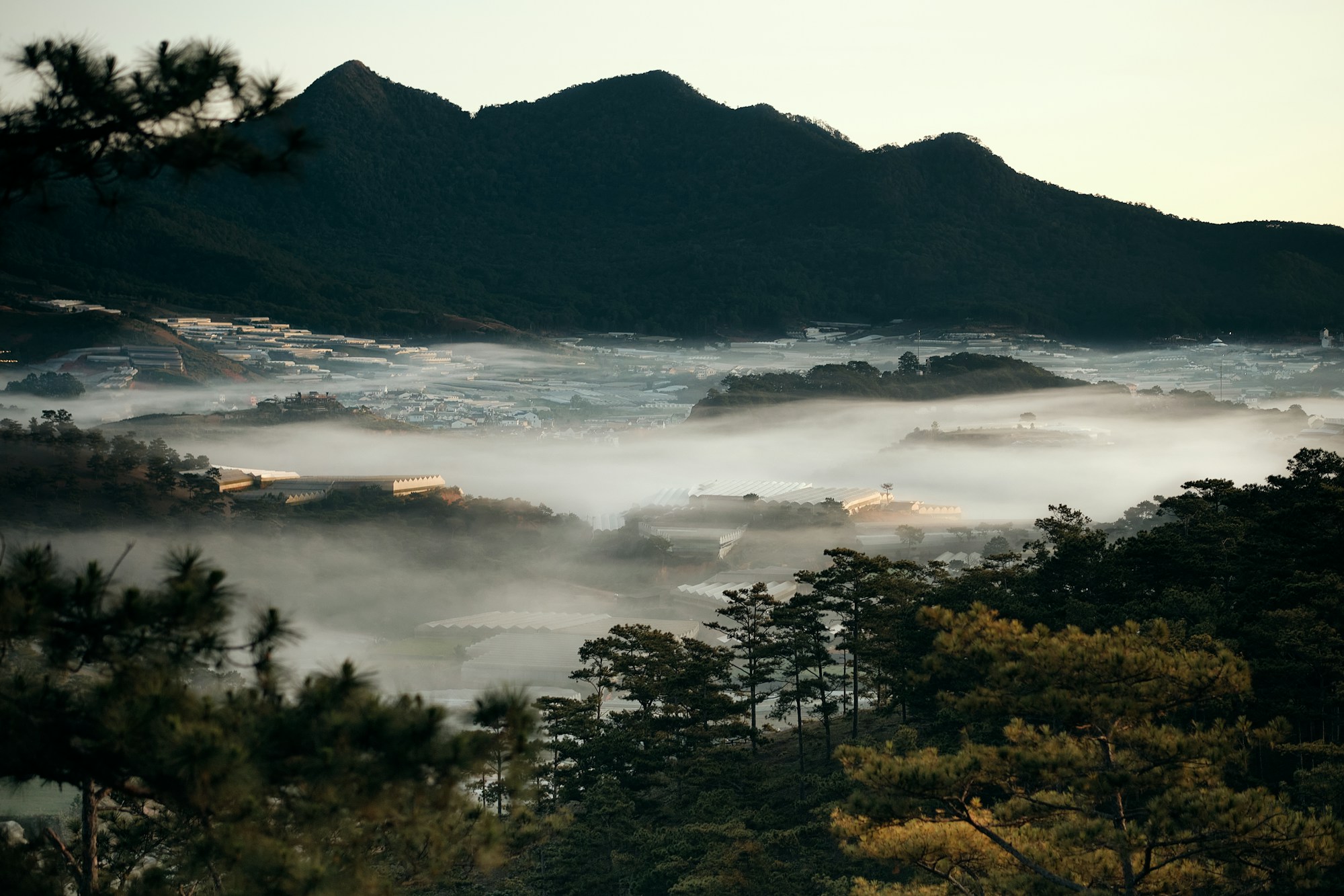 Vallée verdoyante de Đà Lạt avec ses collines de pins et maisons coloniales