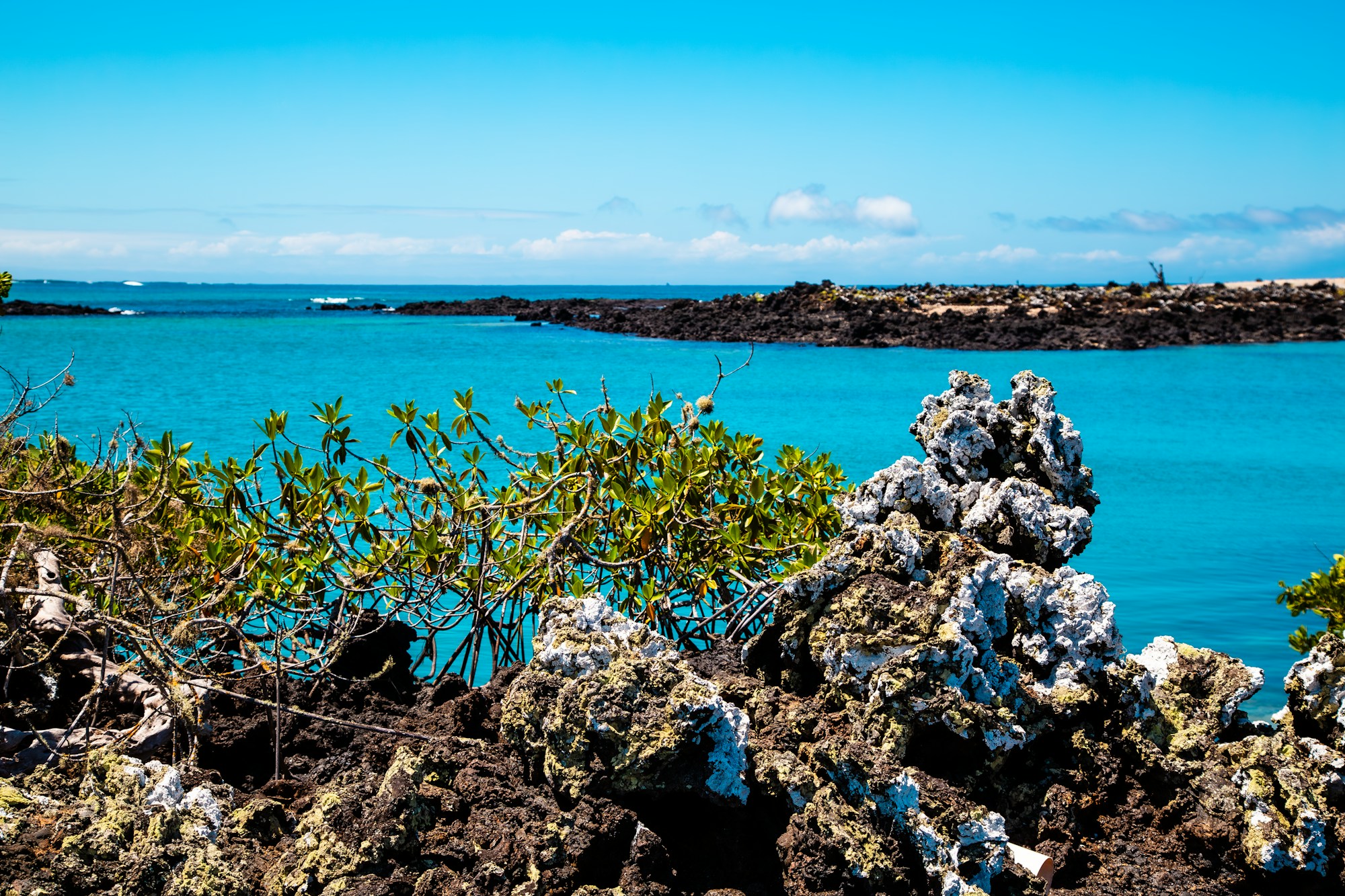 Eaux turquoise cristallines et rochers volcaniques des îles Galápagos, Équateur