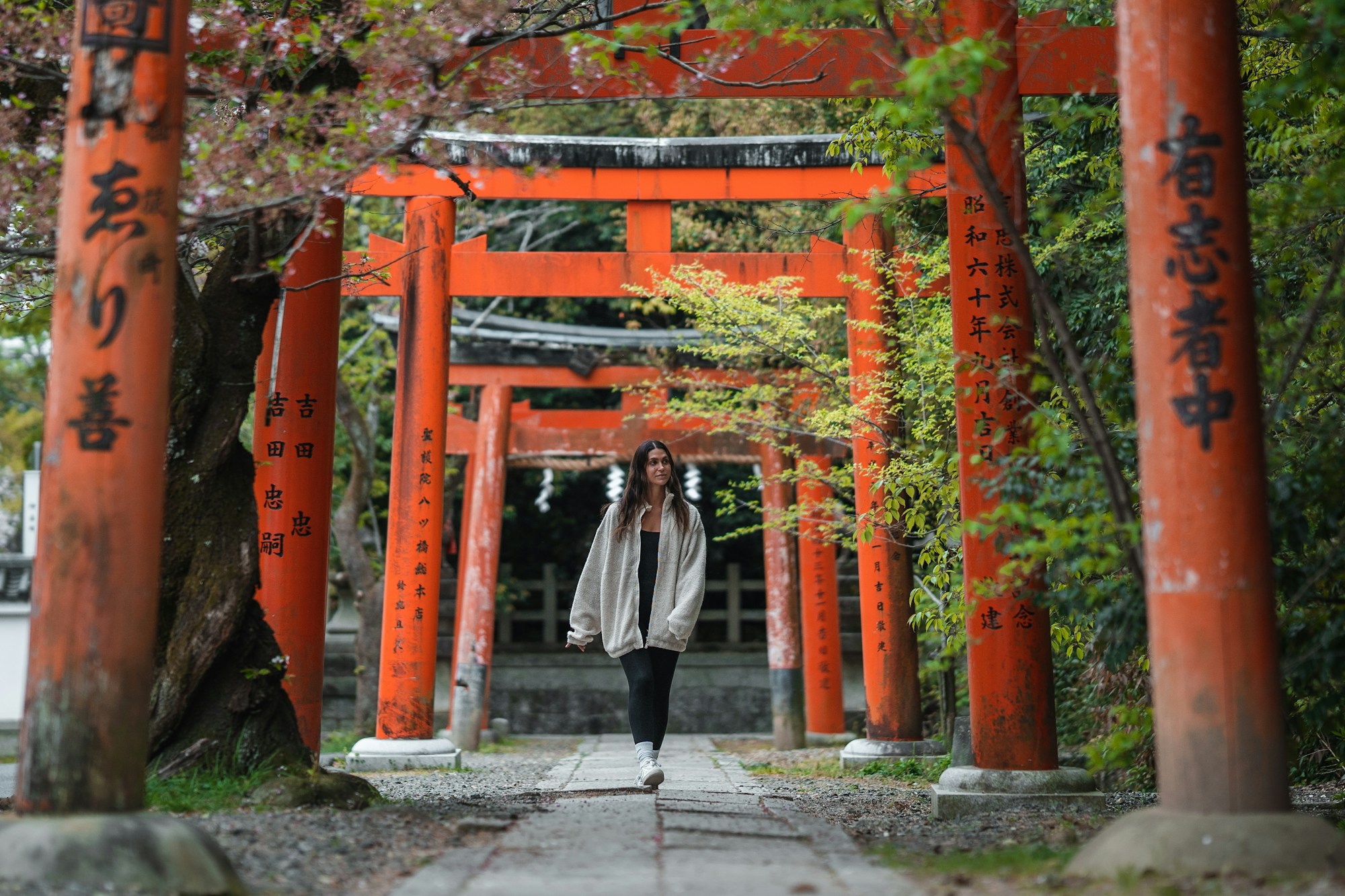 Female traveller in front of a traditional torii gate in Japan