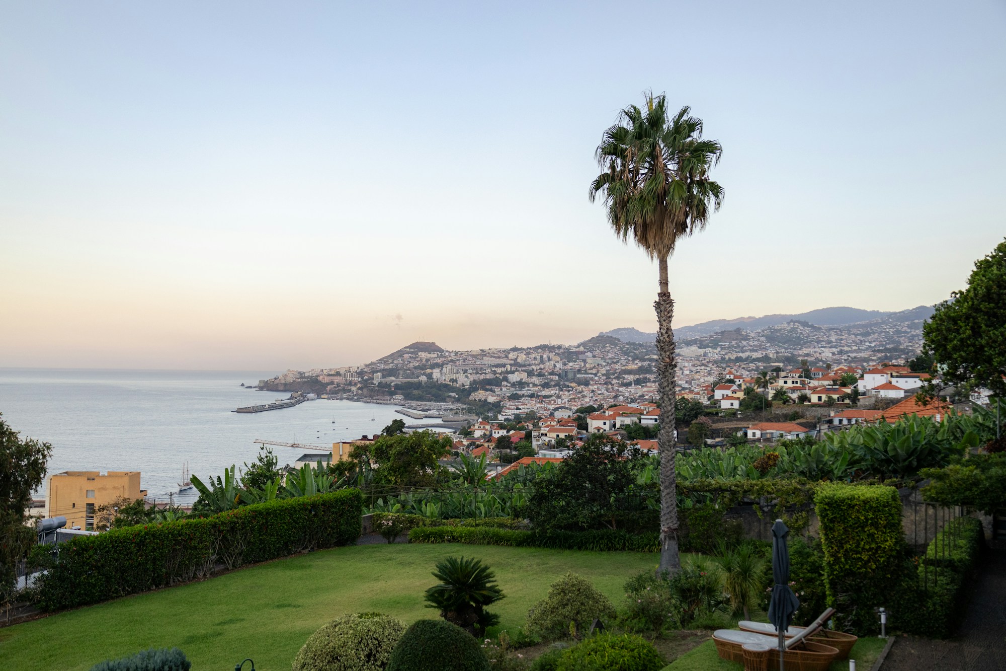 Panoramablick auf Funchal und die Bucht von den Höhen Madeiras, Portugal, goldenes Licht über der Stadt und dem Atlantik