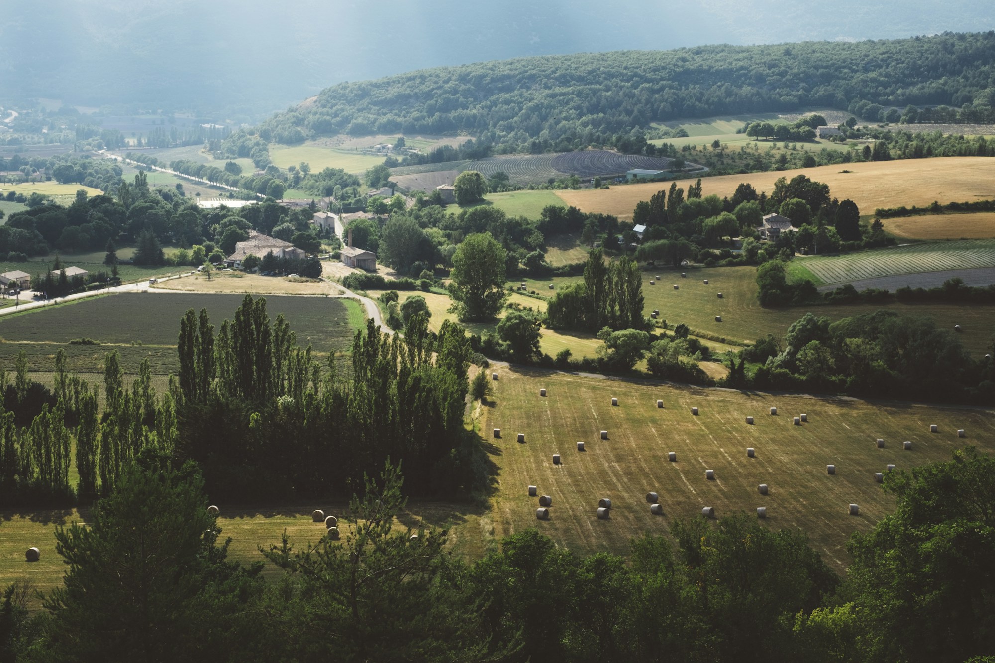 Paysage de Gordes en Provence, chemin arboré à travers la garrigue
