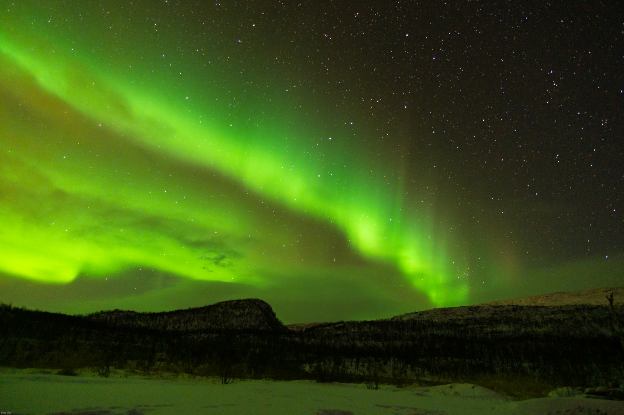 Aurores boréales vertes et violettes illuminant le ciel nocturne au-dessus de la Laponie, Norvège du Nord