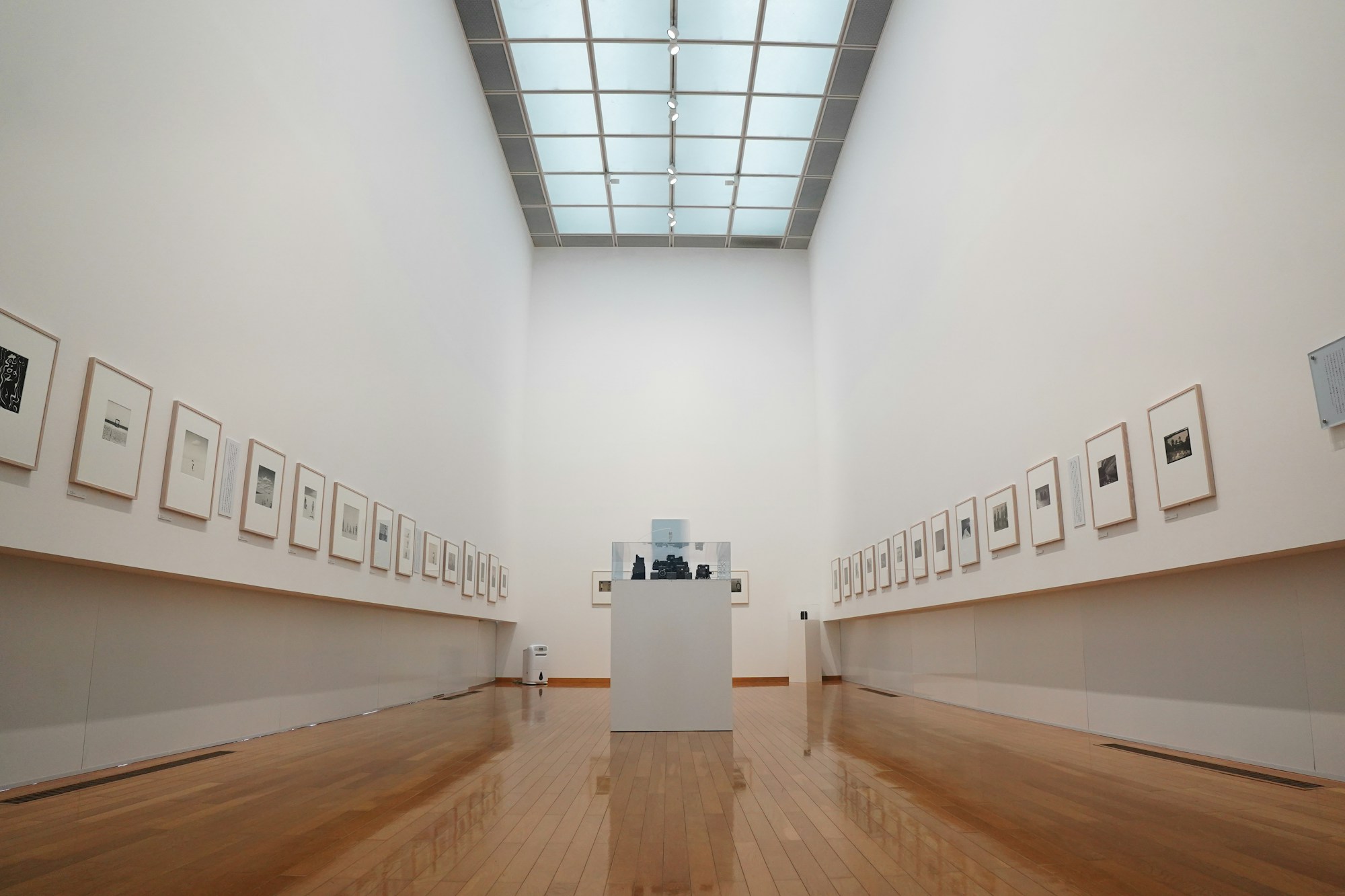 Sala de exposición de arte contemporáneo, galería luminosa con obras murales dispuestas simétricamente