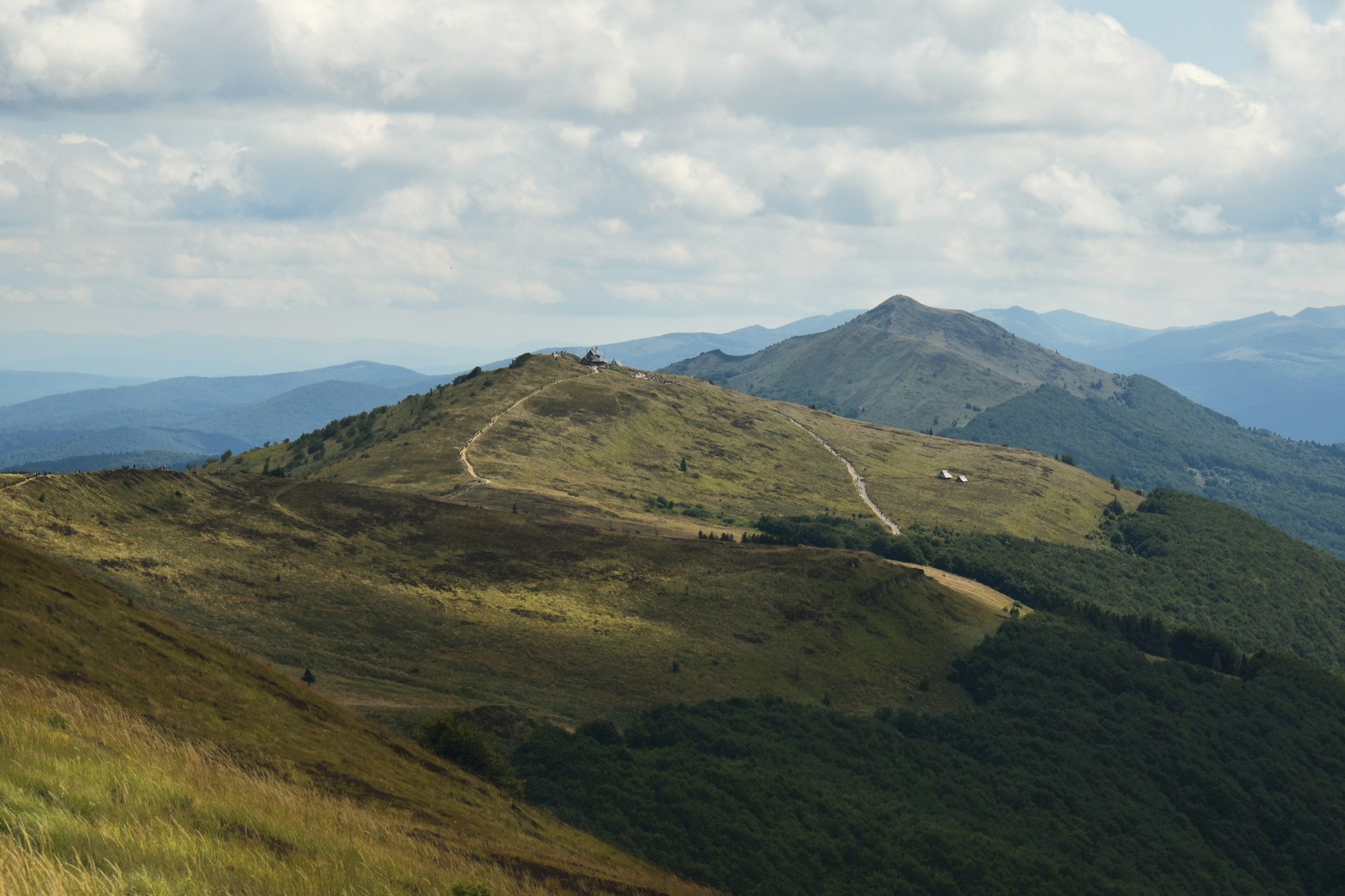 Collines verdoyantes avec un chemin dans la Połonina Wetlińska, Bieszczady, Pologne — bikepacking