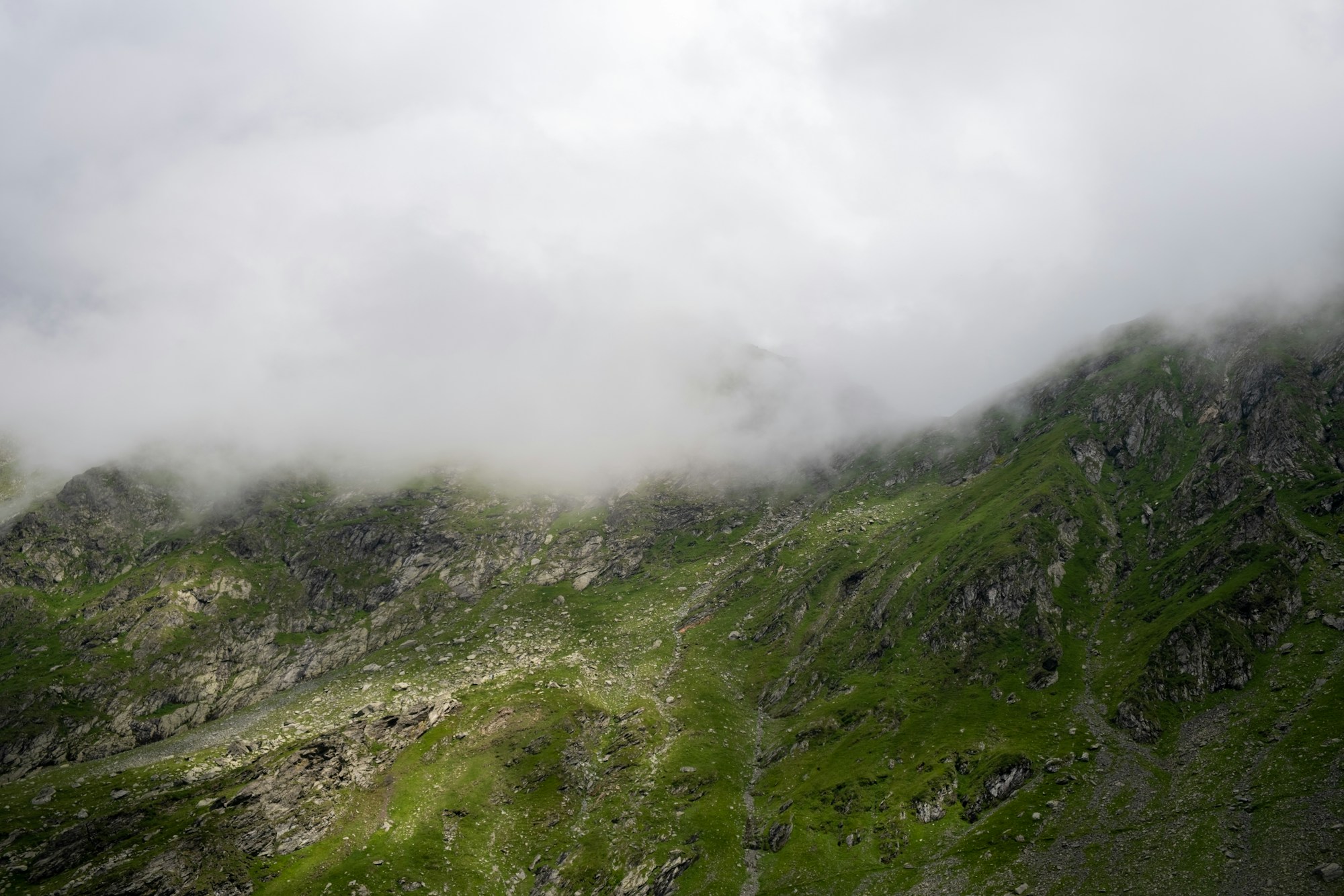 Montagne des Carpates roumaines dans les nuages, paysage sauvage du nord de la Roumanie