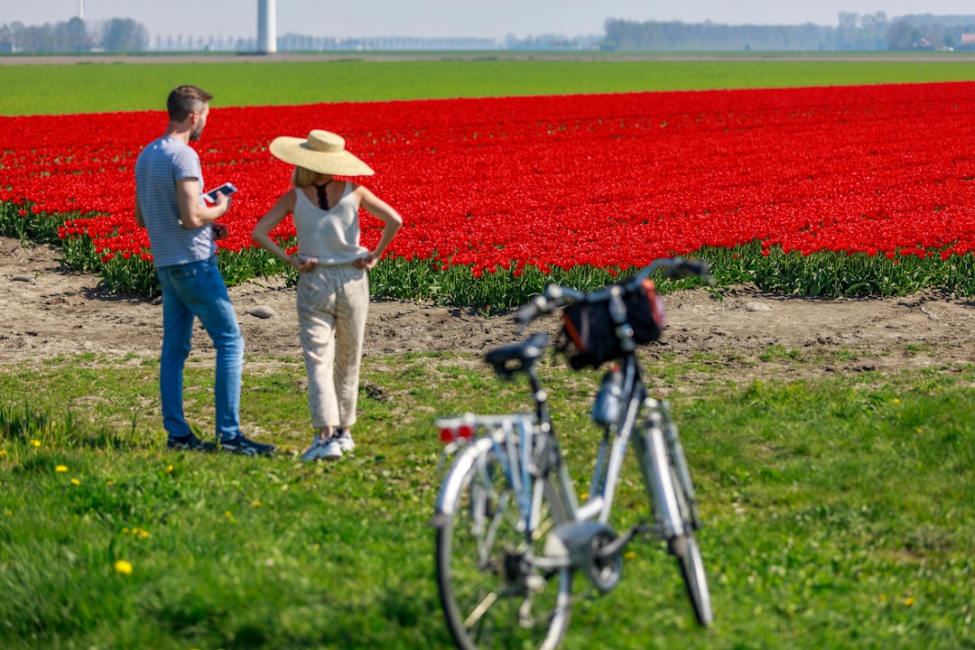 Cycliste pédalant le long de champs de tulipes multicolores dans la région du Bollenstreek aux Pays-Bas