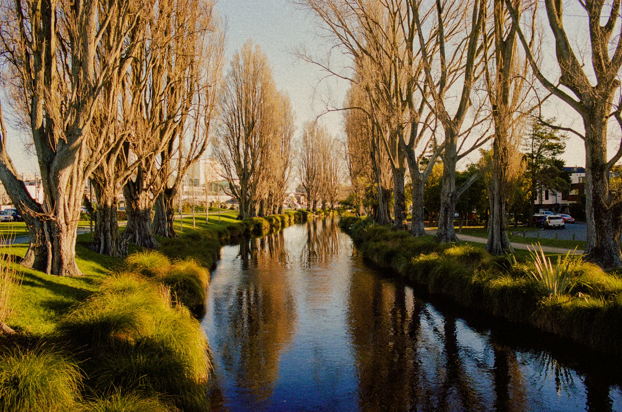 Avon River winding through a lush green park in Christchurch