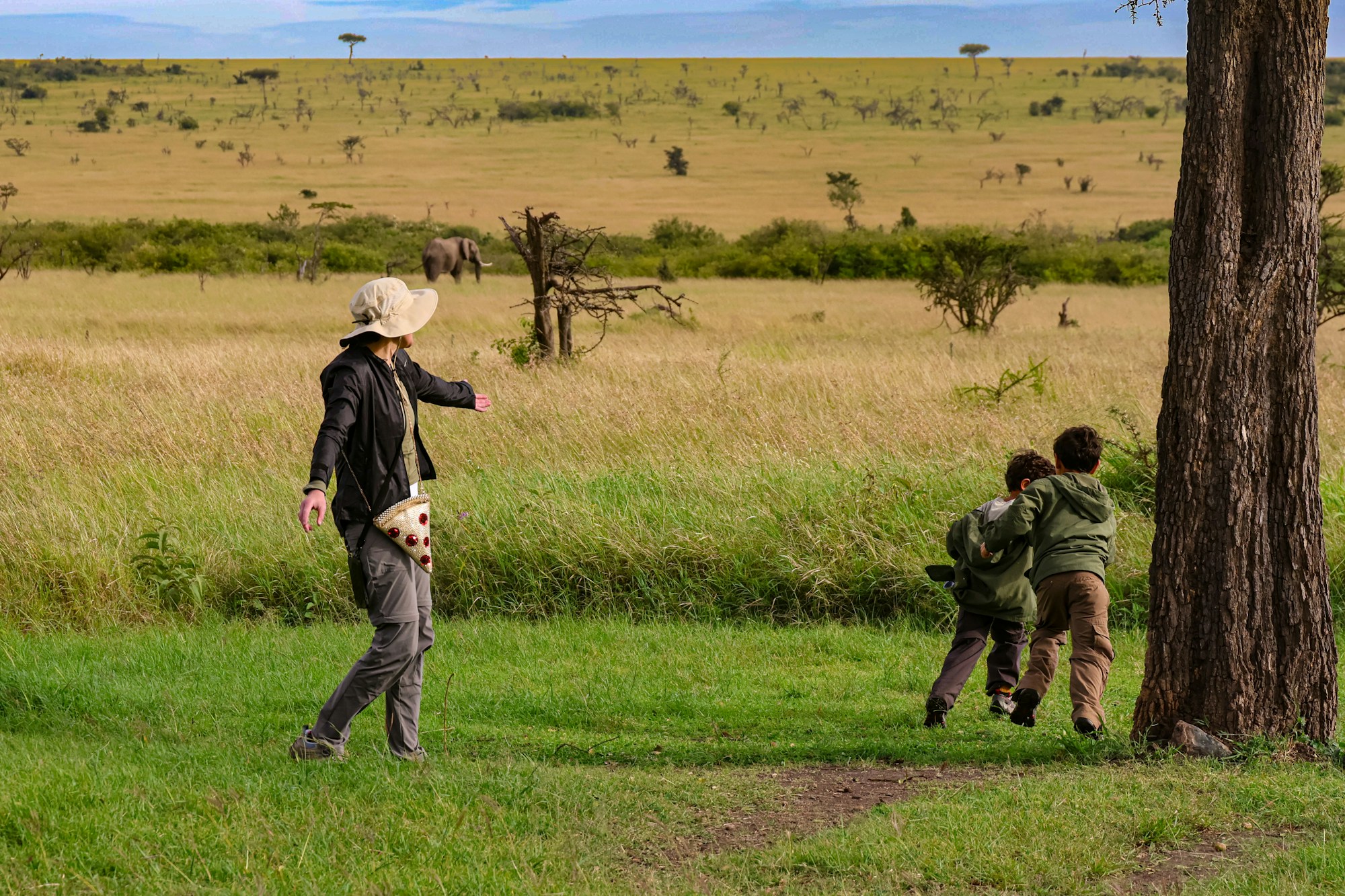 Safari in Africa with a view of the savanna