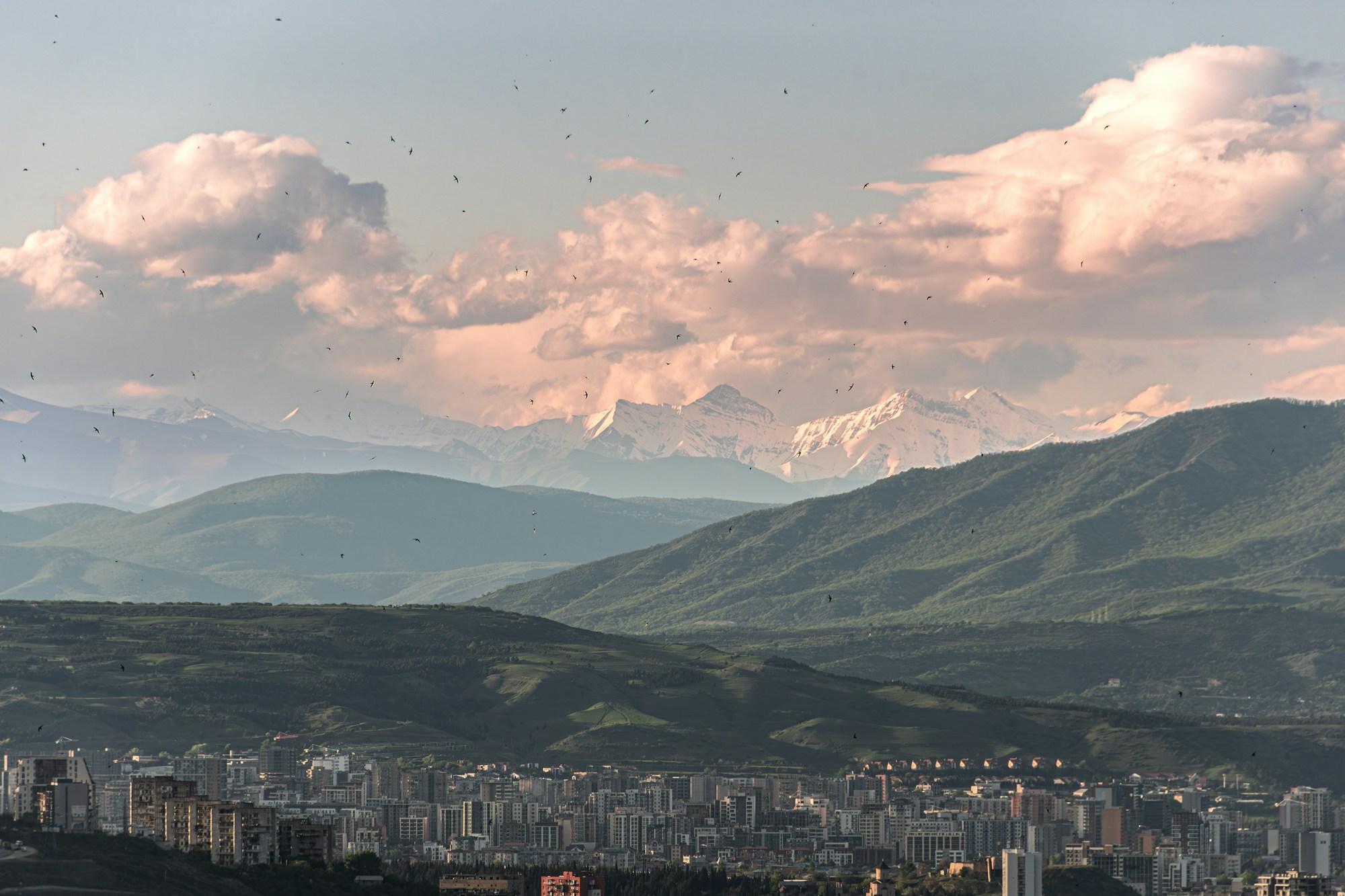 Panoramic view of Tbilisi, Georgia with its colorful houses and churches, an emerging coliving destination