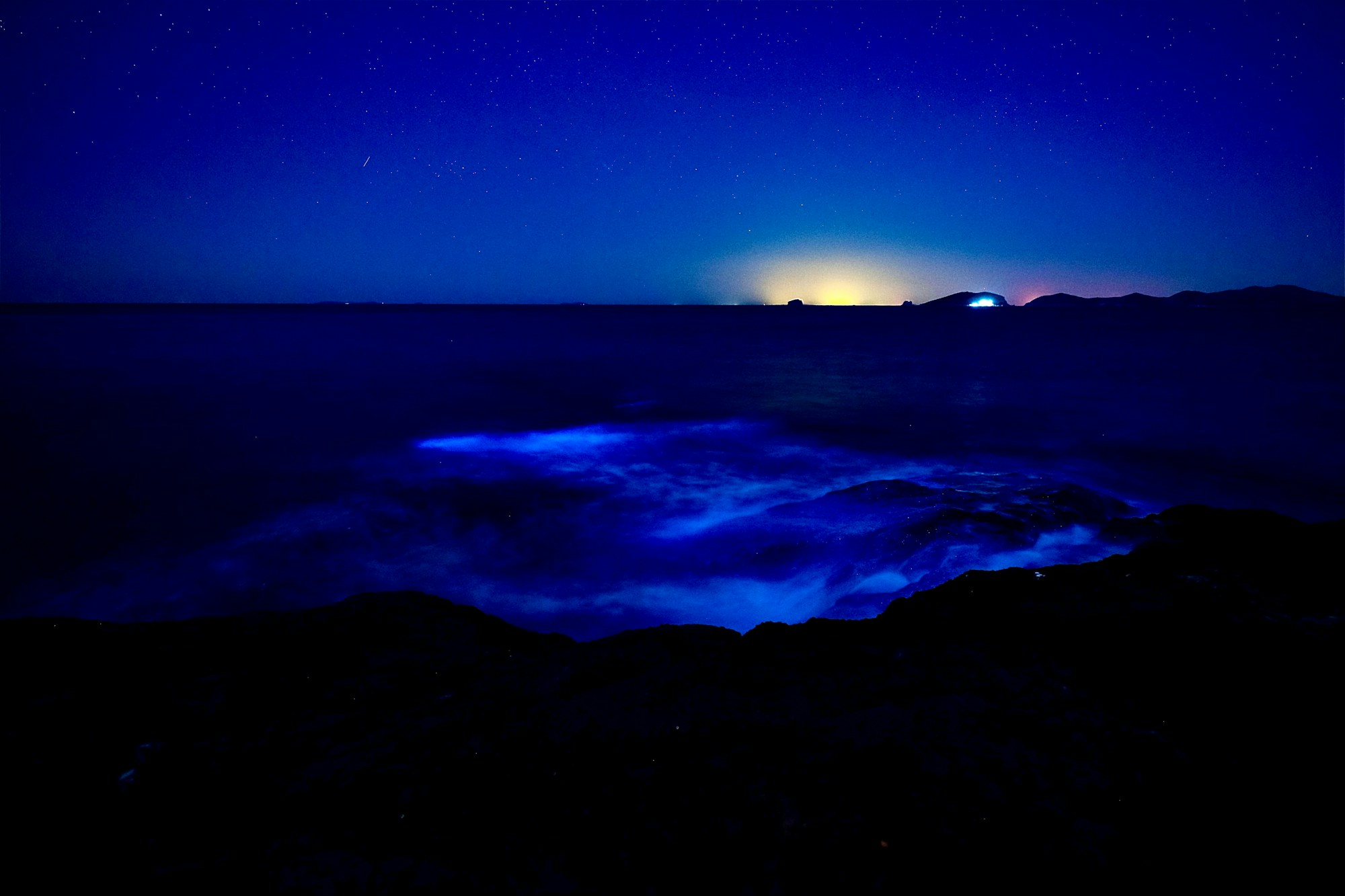 Bioluminescence bleue illuminant les vagues de l'océan la nuit, phénomène naturel marin spectaculaire