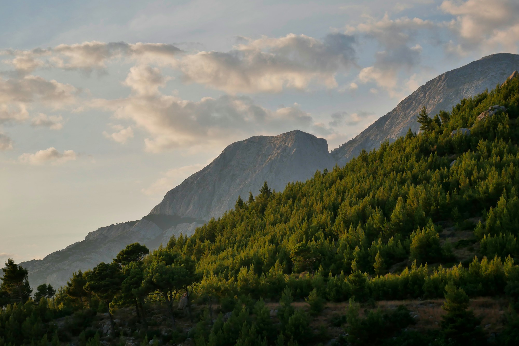 Forêt verte recouvrant un versant de montagne en Croatie — Trans Dinarica bikepacking