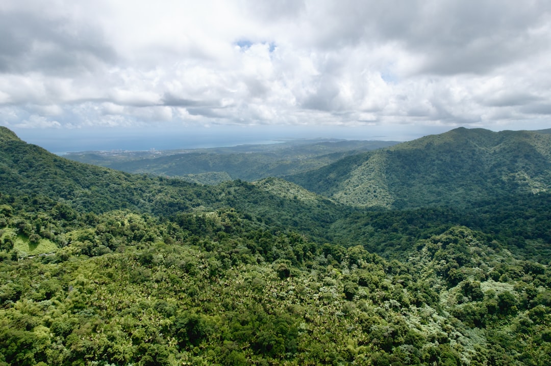 The lush green hills of El Yunque National Forest in Puerto Rico rolling gently toward the Atlantic Ocean