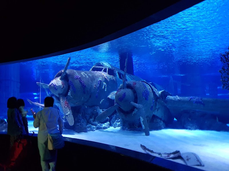 Antalya Aquarium – Arapsuyu Mahallesi, Konyaaltı, Antalya, Turquie (photo 3)