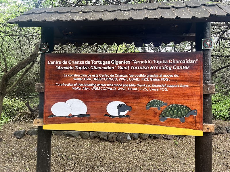 Arnaldo Tupiza Tortoise Breeding Center – Puerto Villamil, Isabela Island (photo 2)
