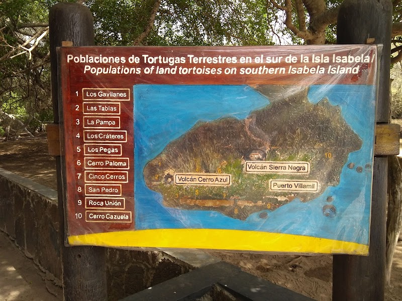 Arnaldo Tupiza Tortoise Breeding Center – Puerto Villamil, Isabela Island (photo 3)