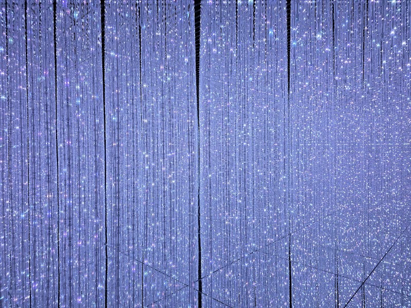 ArtScience Museum - teamLab Future World – Marina Bay Sands, Singapore (photo 2)