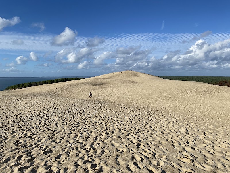 Ascension de la Dune du Pilat – Dune du Pilat, Route de Biscarrosse, 33115 La Teste-de-Buch (photo 2)