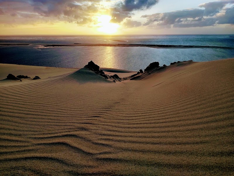 Ascension de la Dune du Pilat – Dune du Pilat, Route de Biscarrosse, 33115 La Teste-de-Buch (photo 3)