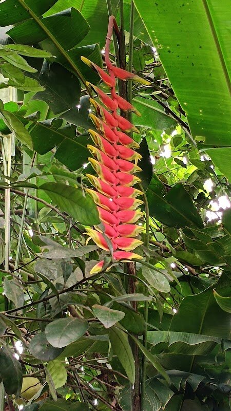 Atelier pâtisserie Kerala - Thekkady Spice Garden – Alappuzha (photo 1)