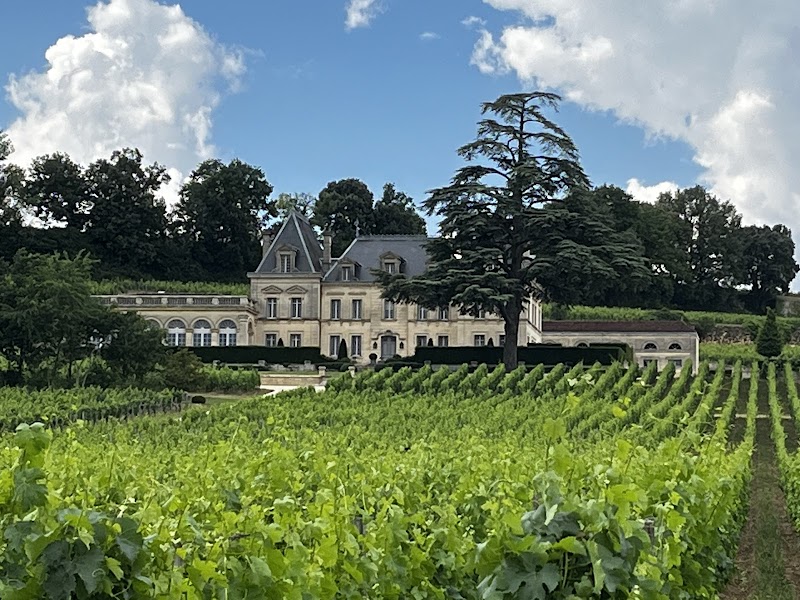 Balade à vélo dans les vignobles de Saint-Émilion – Saint-Émilion Location Vélos, Place du Marché, 33330 Saint-Émilion (photo 3)