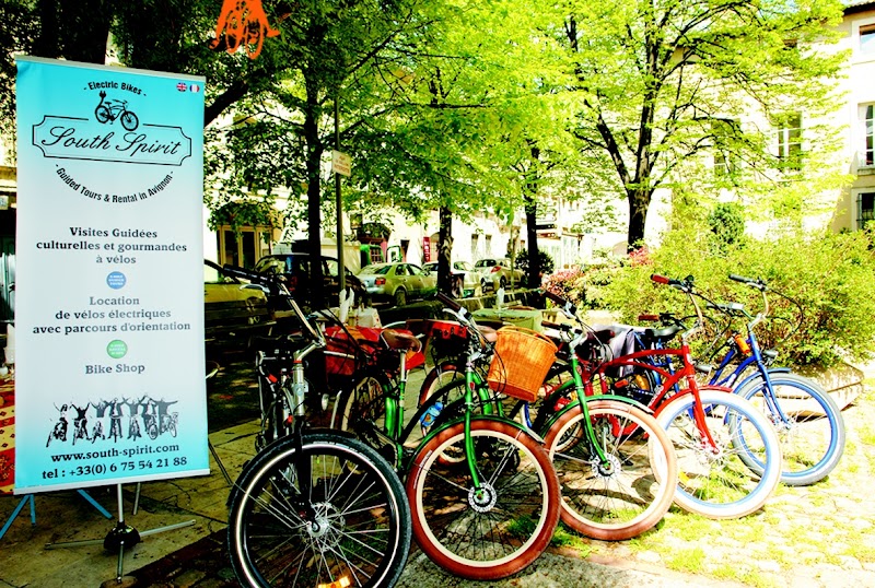 Balade à vélo sur l'Île de la Barthelasse – South Spirit Bike, 54 Rue du Limas, 84000 Avignon (photo 2)