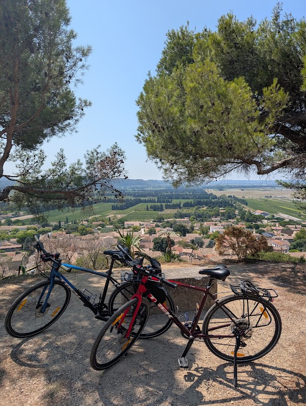 Balade à vélo sur l'Île de la Barthelasse – South Spirit Bike, 54 Rue du Limas, 84000 Avignon (photo 3)