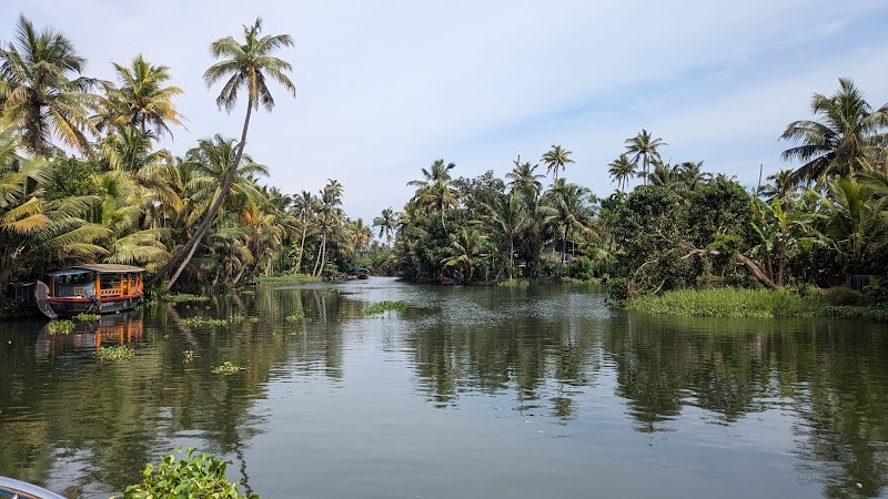 Balade en Shikara - Alappuzha canals – Petits canaux Alappuzha (photo 3)