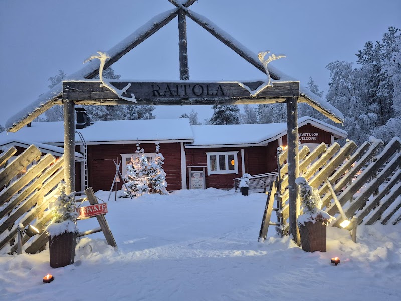 Balade en traîneau à rennes – Ferme rennes, Rovaniemi (photo 3)