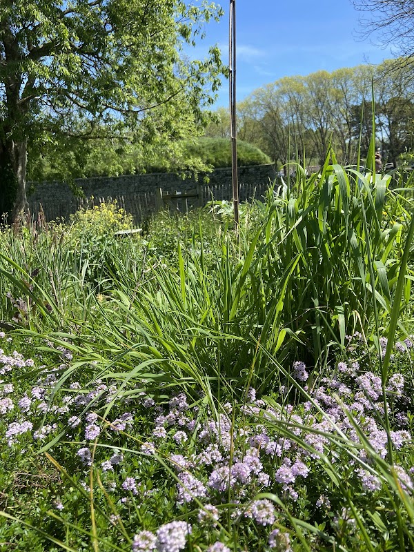 Balade sur les Remparts et Jardin Botanique – Allée des Tarrides, 64100 Bayonne (photo 2)