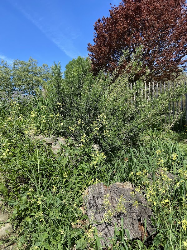 Balade sur les Remparts et Jardin Botanique – Allée des Tarrides, 64100 Bayonne (photo 3)