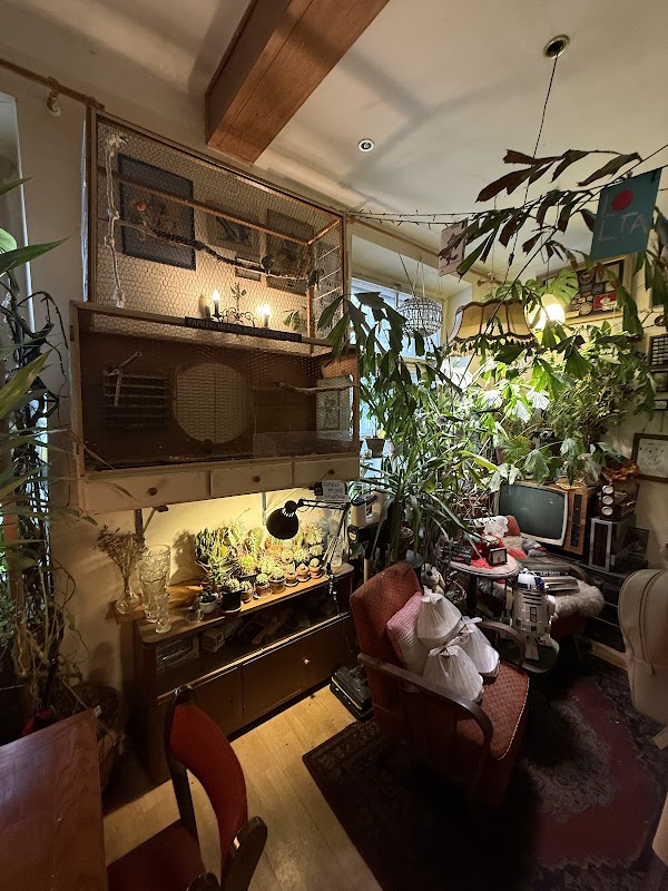 Bar Pod Kopytkiem – Stare Miasto, Cracovie, Pologne (photo 3)