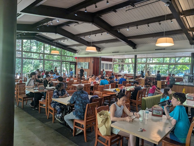 Base Camp Eatery – Yosemite Valley (photo 3)
