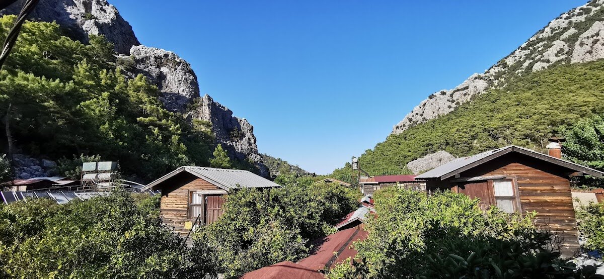 Bayrams Tree Houses — dîner demi-pension – Olympos, Kumluca, Antalya, Turquie (photo 1)