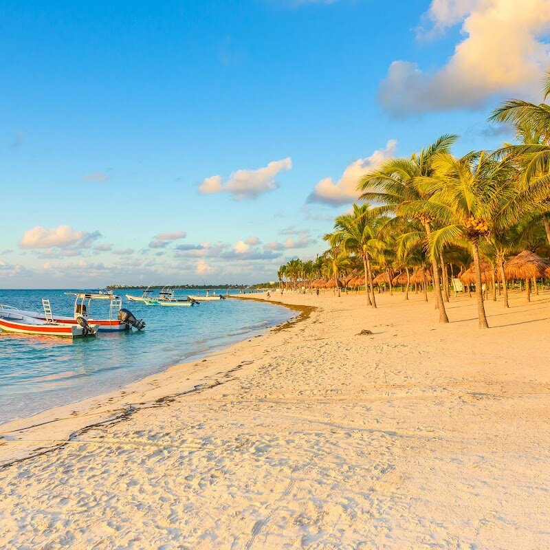 Beach Day Akumal (tortues) – Akumal Beach, Riviera Maya, Mexique (photo 1)