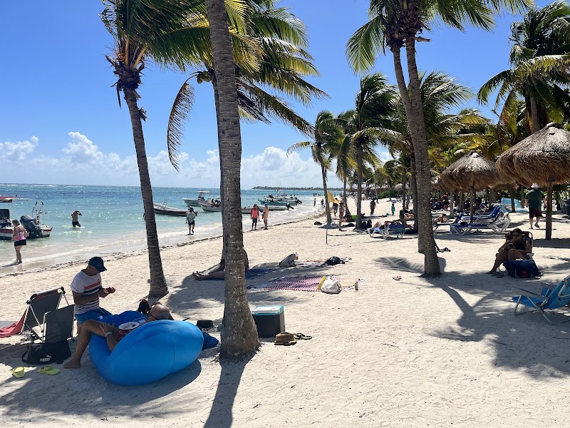 Beach Day Akumal (tortues) – Akumal Beach, Riviera Maya, Mexique (photo 2)