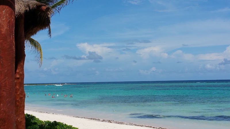 Beach Day Akumal (tortues) – Akumal Beach, Riviera Maya, Mexique (photo 3)