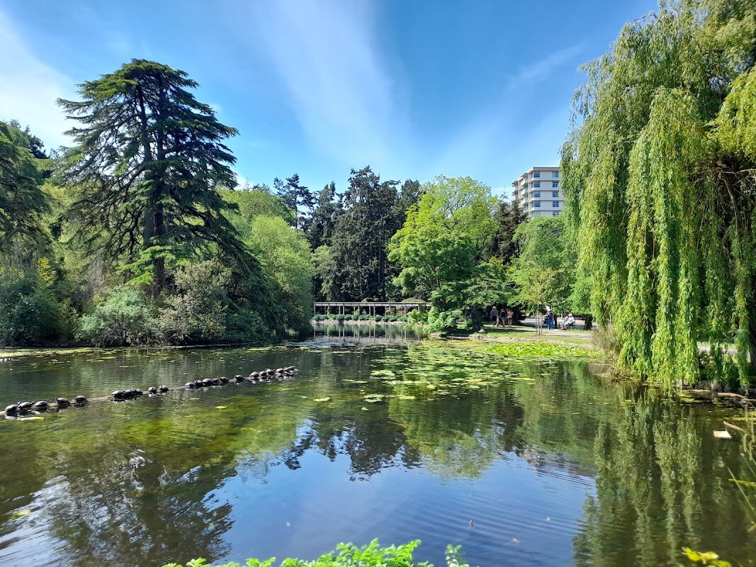 Beacon Hill Park – Victoria, Vancouver Island (photo 1)