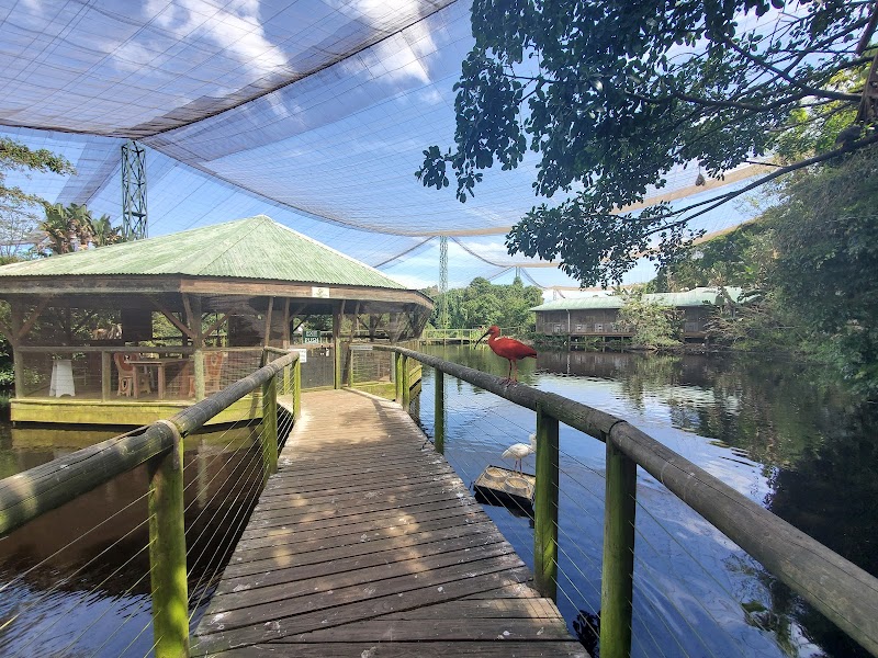 Birds of Eden – Knysna, Route des Jardins (photo 2)