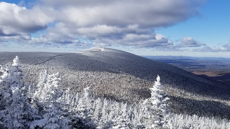 Bistro du Parc – Parc national du Mont-Mégantic (photo 3)