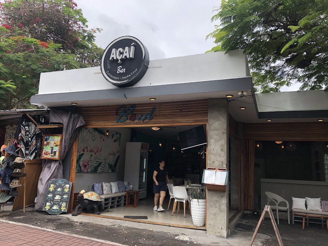 Bowl Açai Bar – Puerto Ayora, Santa Cruz Island (photo 1)