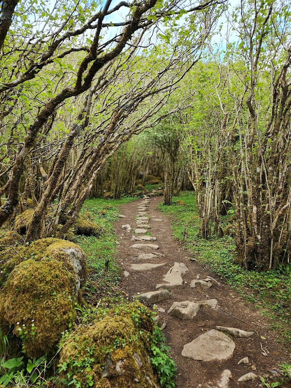 Burren National Park – Burren National Park, County Clare, Irlande (photo 3)