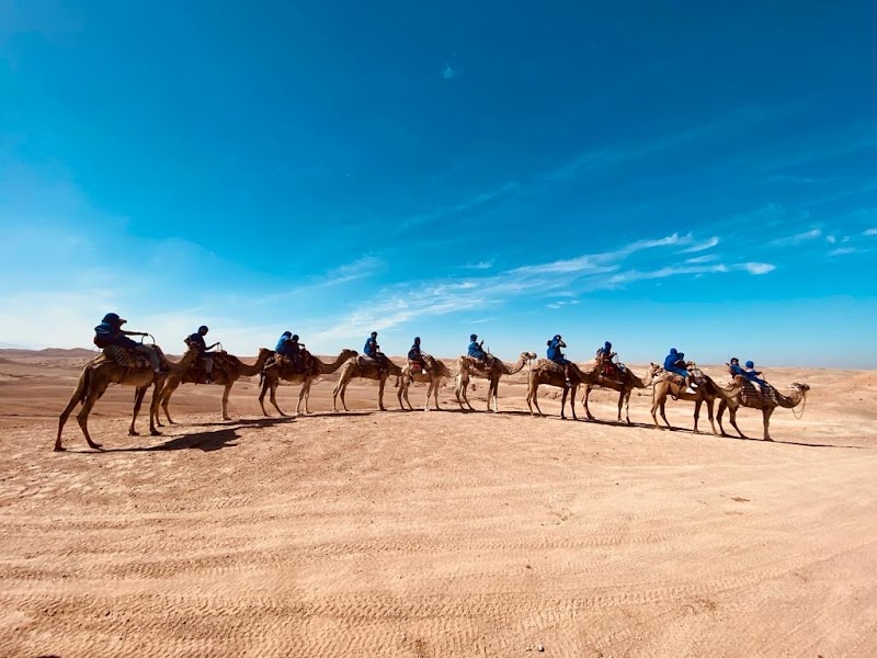 Camel trekking sunset – Désert d'Agafay (photo 2)