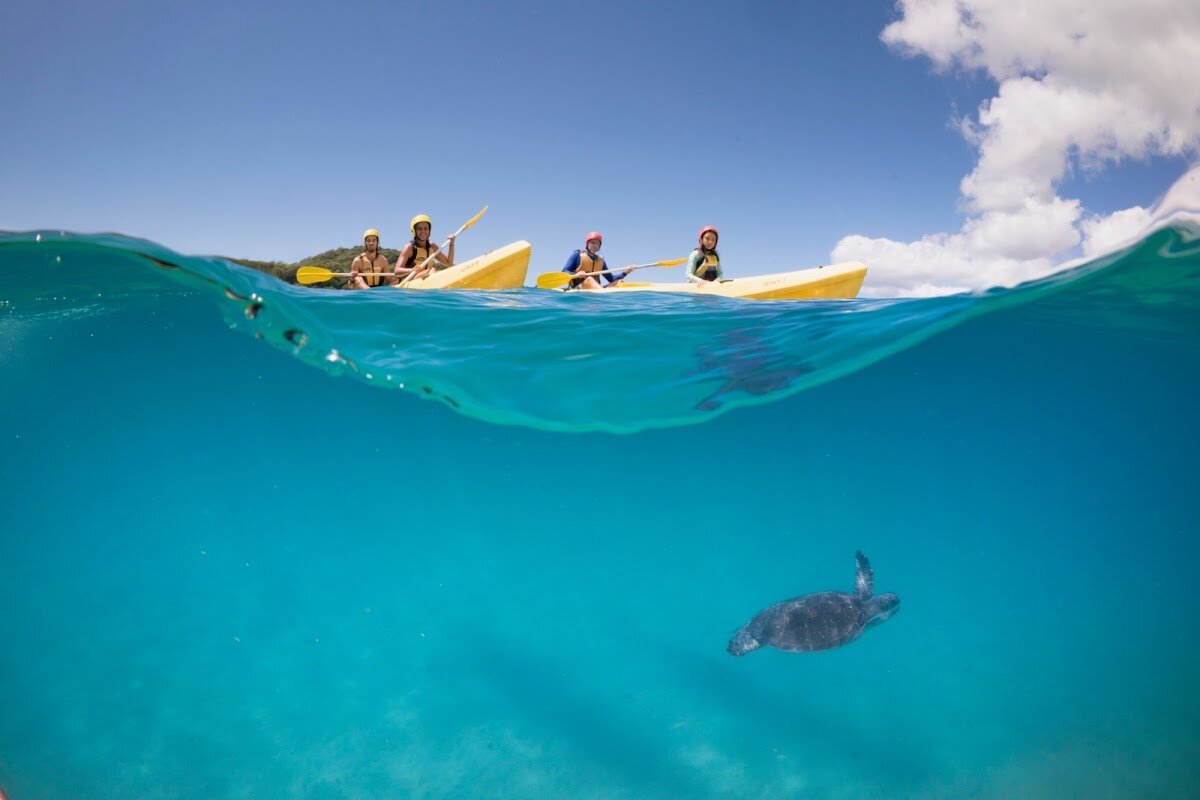 Cape Byron Kayaks – Opposite, 62 Lawson St, Byron Bay NSW 2481, Australia (photo 1)