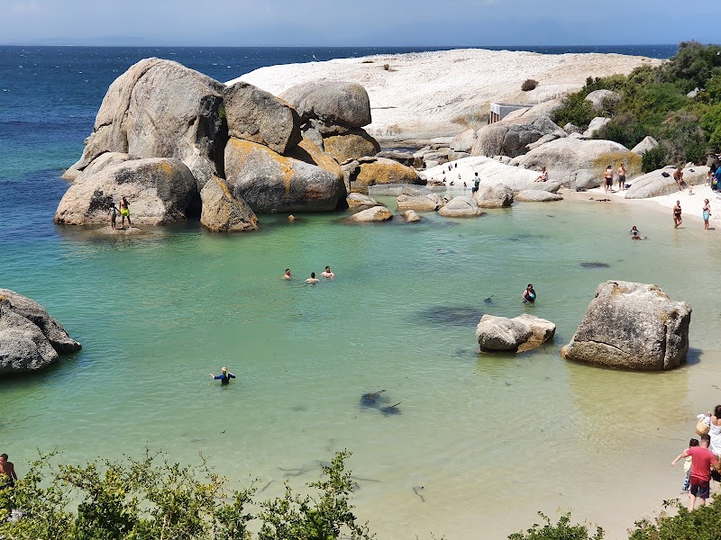 Cape Point et Boulders Beach – Péninsule du Cap (photo 3)