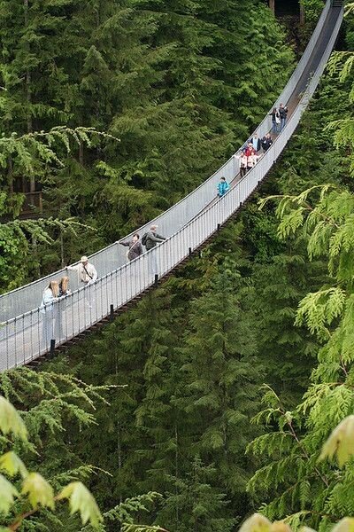 Capilano Suspension Bridge – North Vancouver (photo 1)