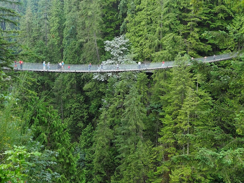 Capilano Suspension Bridge – North Vancouver (photo 2)