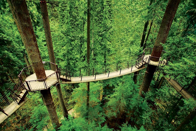 Capilano Suspension Bridge – North Vancouver (photo 3)