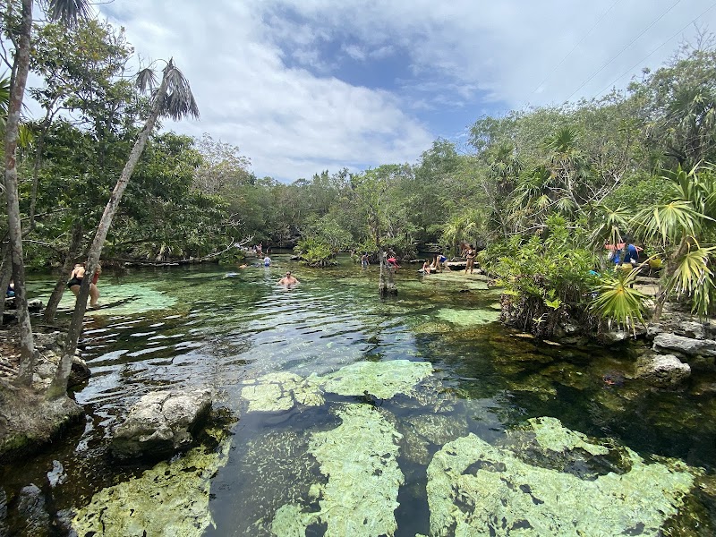 Cenote Azul – Cenote Azul, Playa del Carmen, Mexique (photo 2)